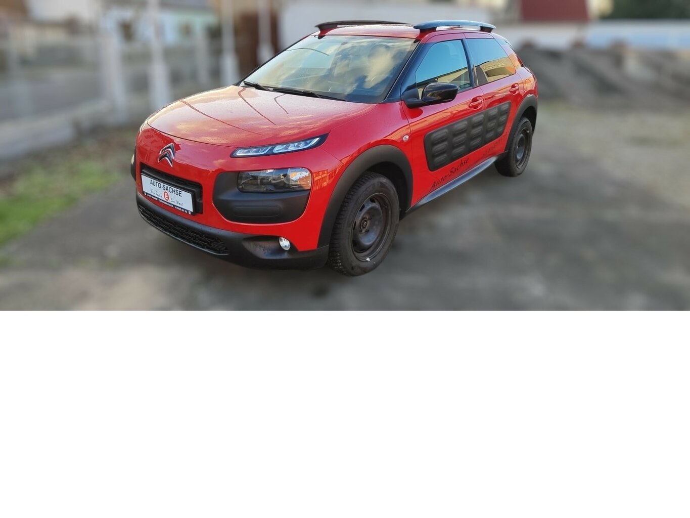 C4 Cactus