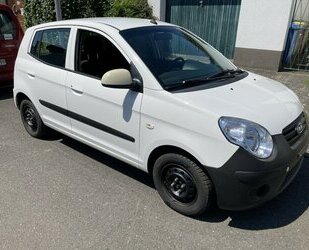 Kia Picanto Klima, ZV, Zahnriemen+gr.Service+TÜV neu Gebrauchtwagen