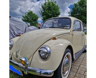 VW Käfer Gebrauchtwagen