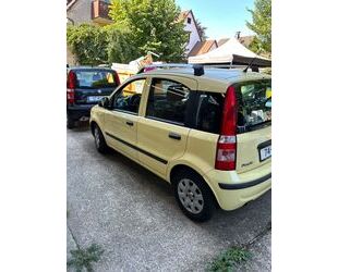 Fiat Panda Gebrauchtwagen