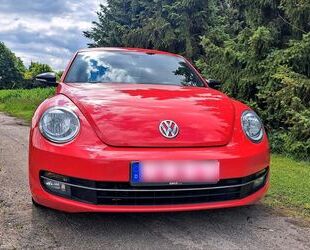 VW Beetle Gebrauchtwagen