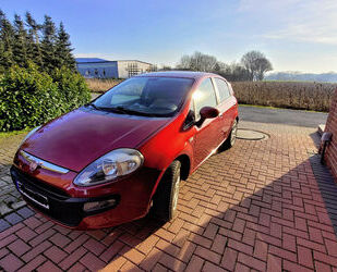 Fiat Punto Gebrauchtwagen