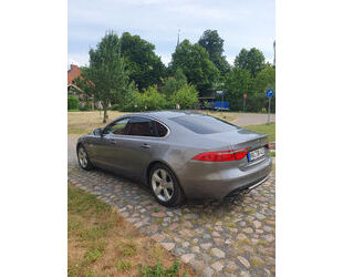 Jaguar XF Gebrauchtwagen