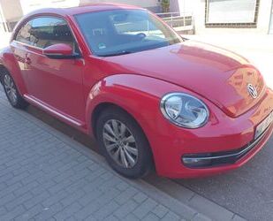 VW Beetle Gebrauchtwagen