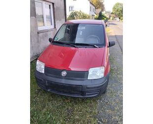 Fiat Panda Gebrauchtwagen