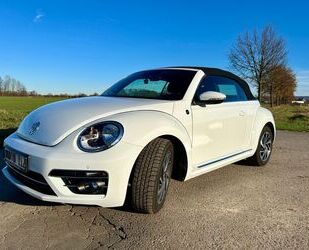 VW Beetle Gebrauchtwagen