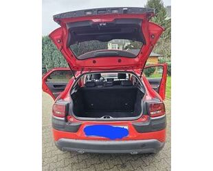 Citroen C4 Cactus Gebrauchtwagen