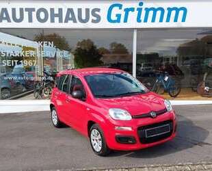 Fiat Panda Gebrauchtwagen