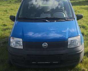 Fiat Panda Gebrauchtwagen