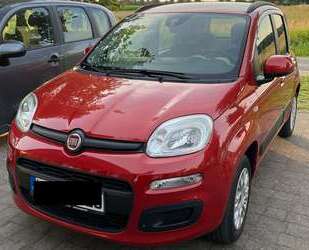 Fiat Panda Gebrauchtwagen