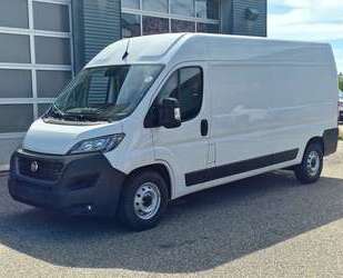 Fiat Ducato Gebrauchtwagen