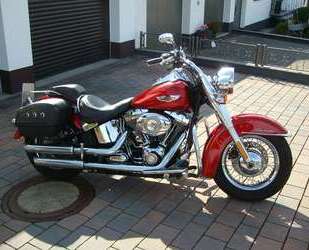 Harley Davidson Softail Gebrauchtwagen
