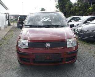 Fiat Panda Gebrauchtwagen