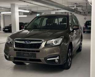 Subaru Forester Gebrauchtwagen