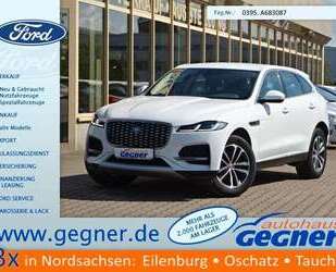 Jaguar F-Pace Gebrauchtwagen