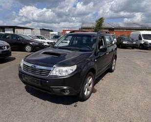 Subaru Forester Gebrauchtwagen