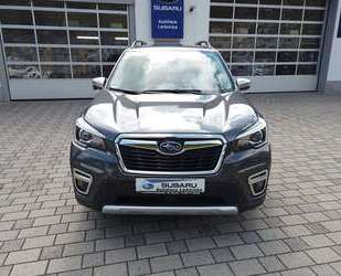 Subaru Forester Gebrauchtwagen