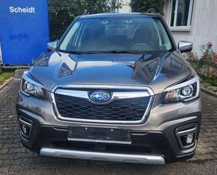 Subaru Forester Gebrauchtwagen