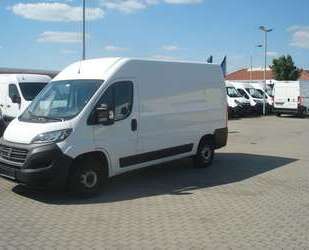 Fiat Ducato Gebrauchtwagen