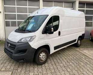 Fiat Ducato Gebrauchtwagen