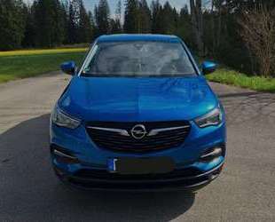 Opel Grandland X Gebrauchtwagen