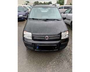 Fiat Panda Gebrauchtwagen