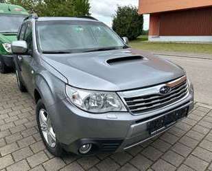 Subaru Forester Gebrauchtwagen