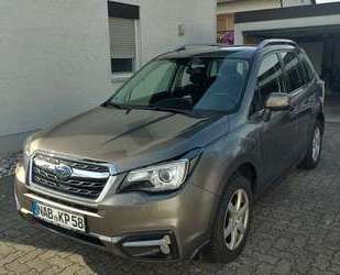 Subaru Forester Gebrauchtwagen