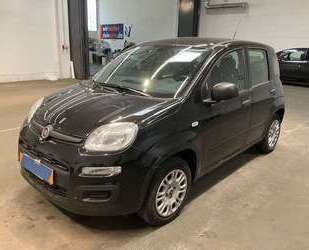 Fiat Panda Gebrauchtwagen