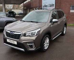 Subaru Forester Gebrauchtwagen