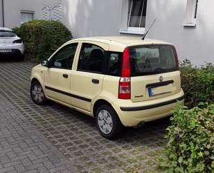 Fiat Panda Gebrauchtwagen