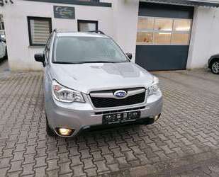 Subaru Forester Gebrauchtwagen