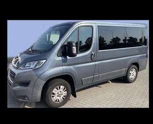 Fiat Ducato Gebrauchtwagen