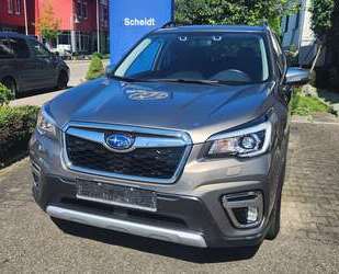 Subaru Forester Gebrauchtwagen