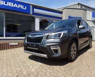 Subaru Forester Gebrauchtwagen