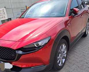 Mazda CX-30 Gebrauchtwagen