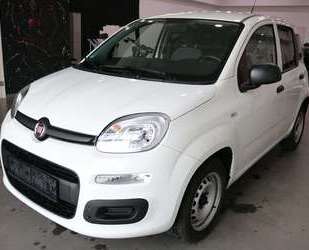 Fiat Panda Gebrauchtwagen