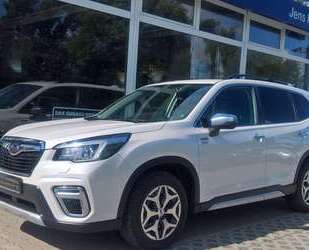 Subaru Forester Gebrauchtwagen