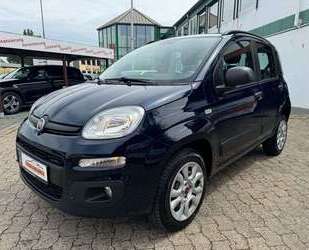 Fiat Panda Gebrauchtwagen