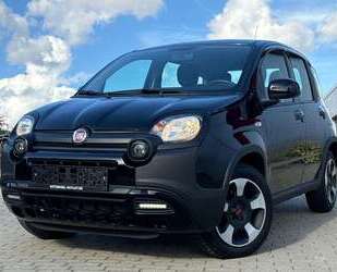 Fiat Panda Gebrauchtwagen