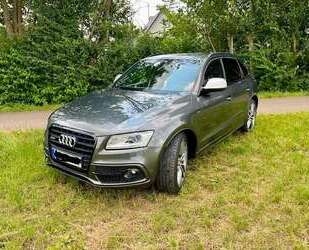 Audi SQ5 Gebrauchtwagen