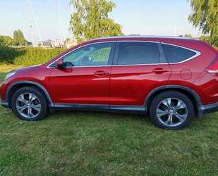 Honda CR-V Gebrauchtwagen