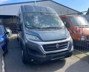 Fiat Ducato Gebrauchtwagen