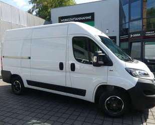 Fiat Ducato Gebrauchtwagen