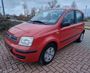 Fiat Panda Gebrauchtwagen