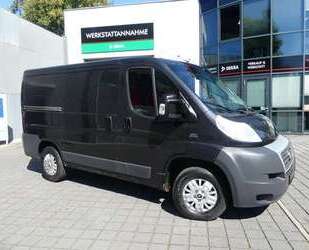 Fiat Ducato Gebrauchtwagen