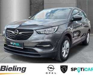 Opel Grandland X Gebrauchtwagen