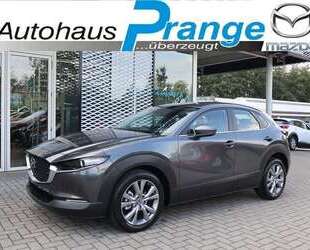 Mazda CX-30 Gebrauchtwagen