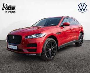 Jaguar F-Pace Gebrauchtwagen