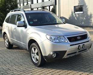 Subaru Forester Gebrauchtwagen